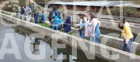 Terrain à Manzanares el Real, Spain 25000m² No. 188118 6