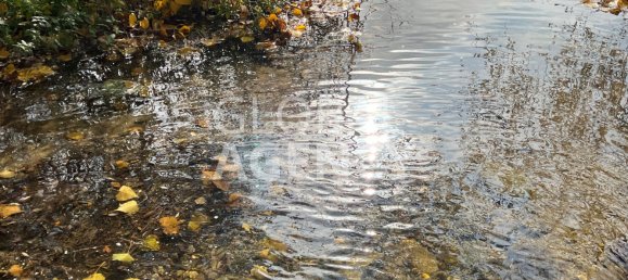 Terrain à Manzanares el Real, Spain 25000m² No. 188118 33