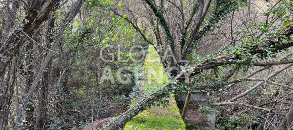 Terrain à Manzanares el Real, Spain 25000m² No. 188118 24