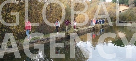 Terrain à Manzanares el Real, Spain 25000m² No. 188118 4