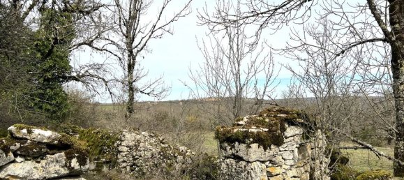 Дом с 3 спальнями в Лот, Франция № 337228 14