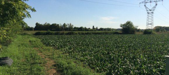 Terrain à Paese, Italy 8000m² No. 121539 2