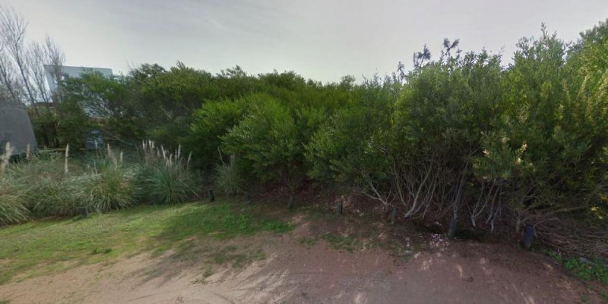  قطعة أرض في Maldonado, Uruguay رقم 14826