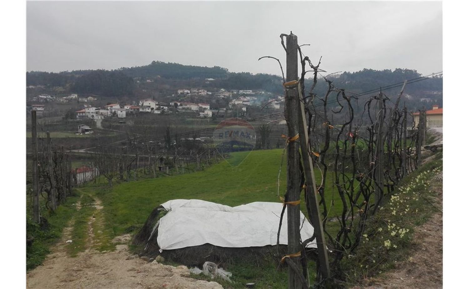 6880m² Land in Infantas, Portugal No. 43598