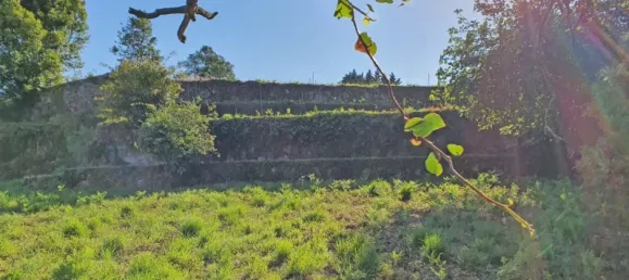 6117m² Land in Viana do Castelo, Portugal No. 139723 4