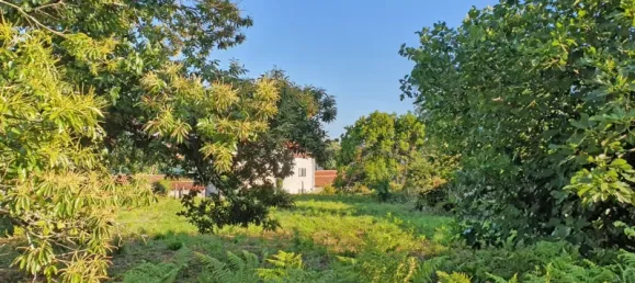 6117m² Land in Viana do Castelo, Portugal No. 139723 14