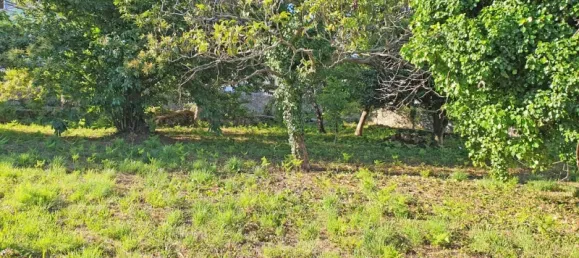 6117m² Land in Viana do Castelo, Portugal No. 139723 3