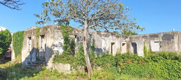 6117m² Land in Viana do Castelo, Portugal No. 139723 2