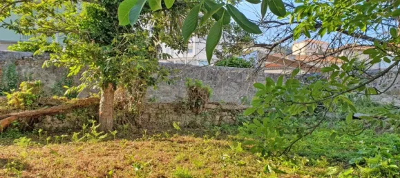 6117m² Land in Viana do Castelo, Portugal No. 139723 13