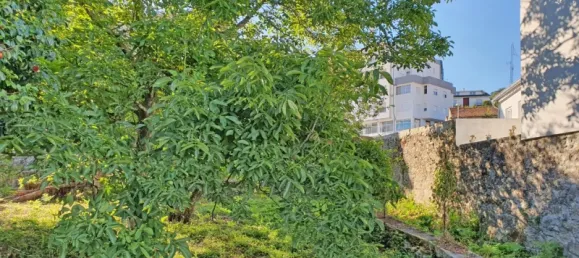 6117m² Land in Viana do Castelo, Portugal No. 139723 12