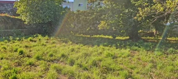 6117m² Land in Viana do Castelo, Portugal No. 139723 5