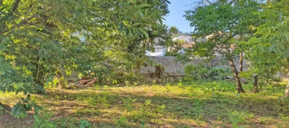 6117m² Land in Viana do Castelo, Portugal No. 139723 8