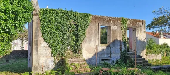 6117m² Land in Viana do Castelo, Portugal No. 139723 10