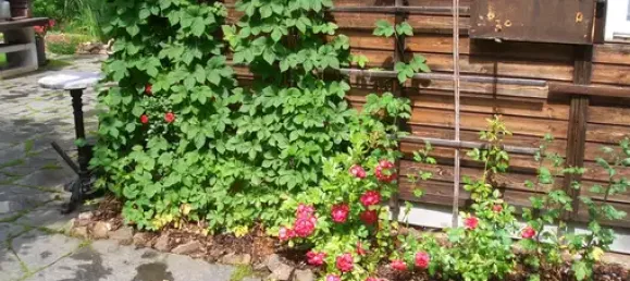 Terrain à Plauen, Germany No. 342500 14