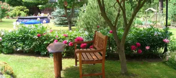 Terrain à Plauen, Germany No. 342500 2