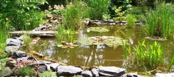 Terrain à Plauen, Germany No. 342500 7