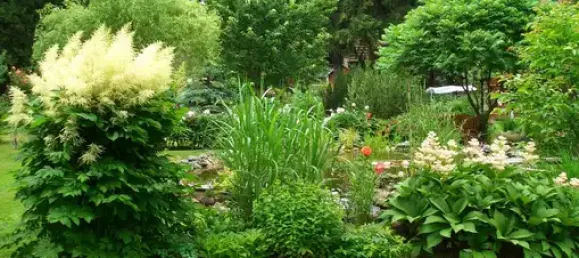 Terrain à Plauen, Germany No. 342500 10