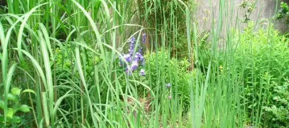 Terrain à Plauen, Germany No. 342500 17