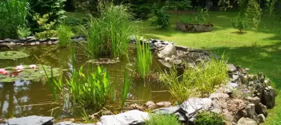 Terrain à Plauen, Germany No. 342500 6