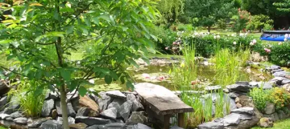 Terrain à Plauen, Germany No. 342500 11