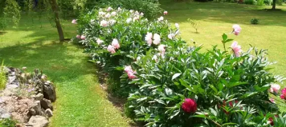 Terrain à Plauen, Germany No. 342500 8