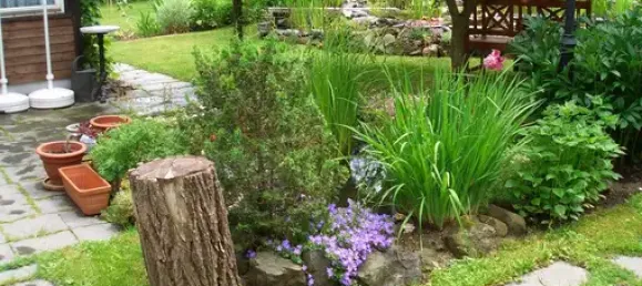 Terrain à Plauen, Germany No. 342500 18