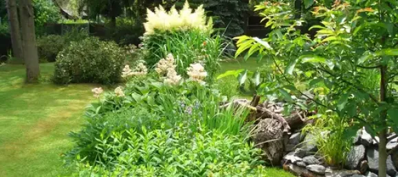 Terrain à Plauen, Germany No. 342500 12