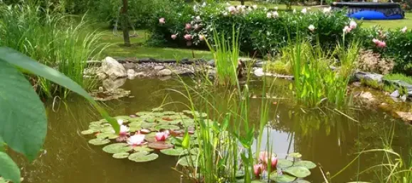 Terrain à Plauen, Germany No. 342500 13