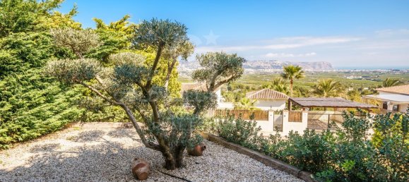 4 chambres Villa à Alicante, Spain No. 82568 46