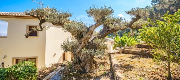 4 chambres Villa à Alicante, Spain No. 82568 43