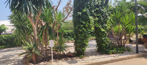 Casa de 3 dormitorios en Vera, Spain No. 158578 27