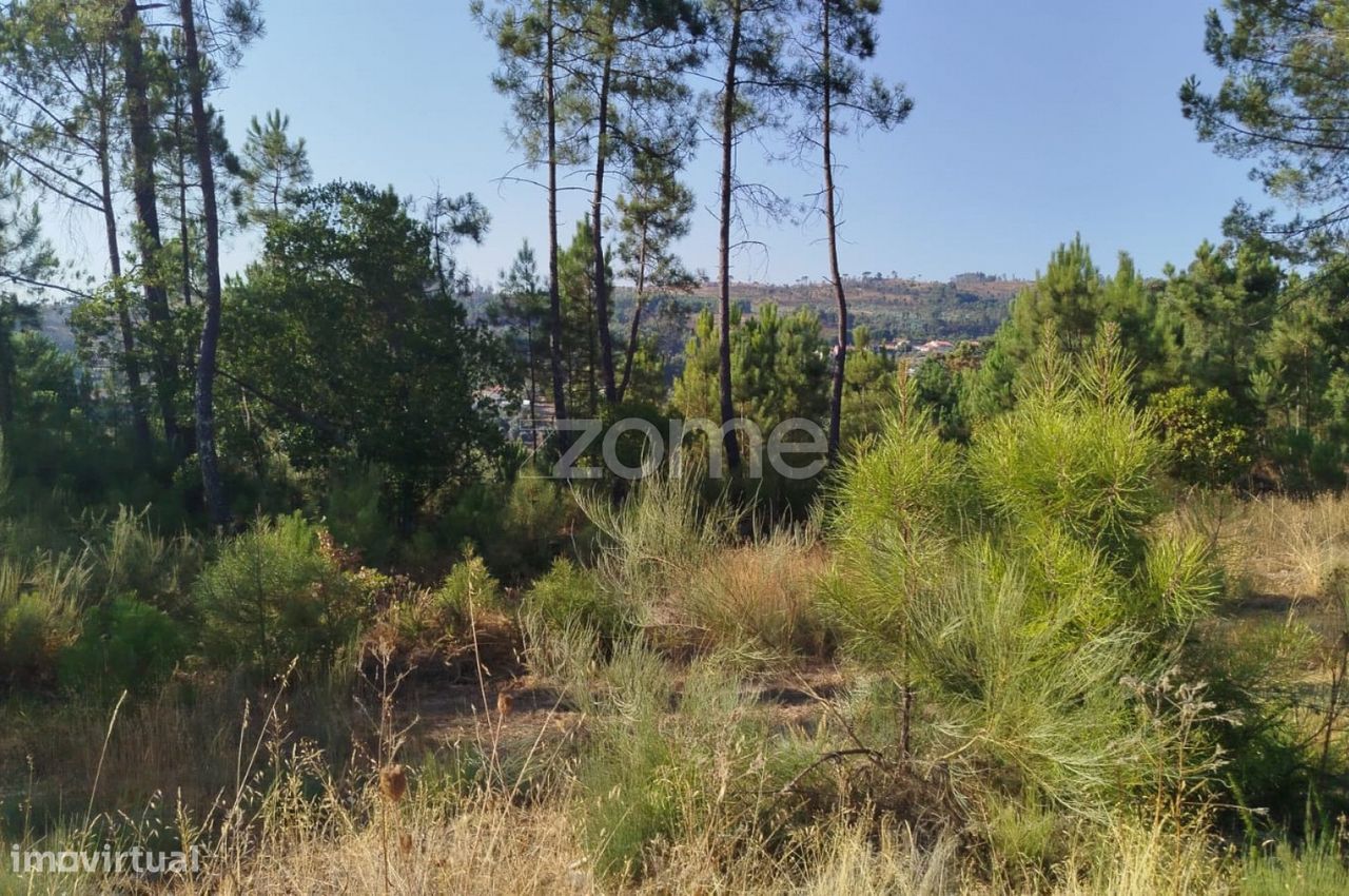 Grundstück in Mangualde, Portugal 1958m², Nr. 295619