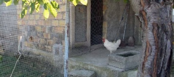 Villa de 15 habitaciónes en Controguerra, Italy No. 166078 15