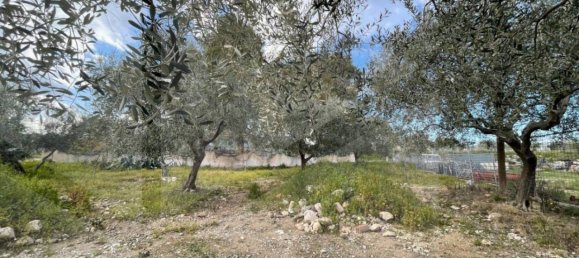 7 rooms Villa in Manfredonia, Italy No. 25537 5