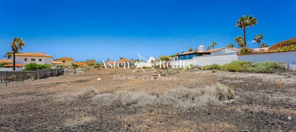  Land in San Miguel de Abona, Spain No. 162334 4