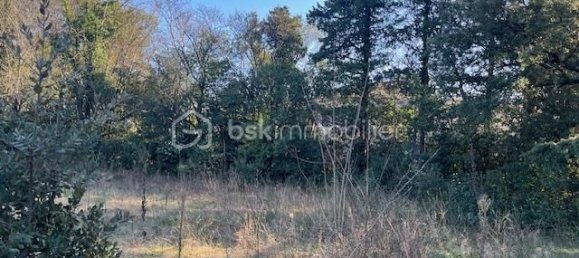  قطعة أرض في Montpellier, France 1137متر مربع رقم 342269 4