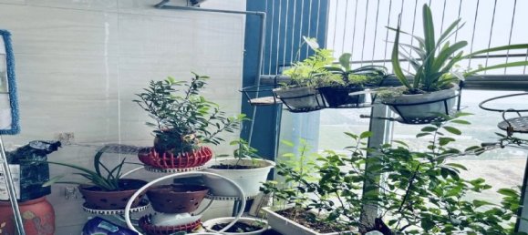 3 bedrooms Apartment in Tay Ho, Vietnam No. 13952 14