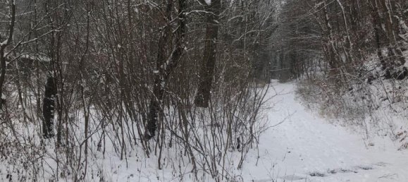 Casa de 4 dormitorios en Burgenlandkreis, Germany No. 42215 31