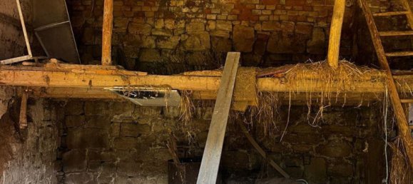 Casa de 4 dormitorios en Burgenlandkreis, Germany No. 42215 24