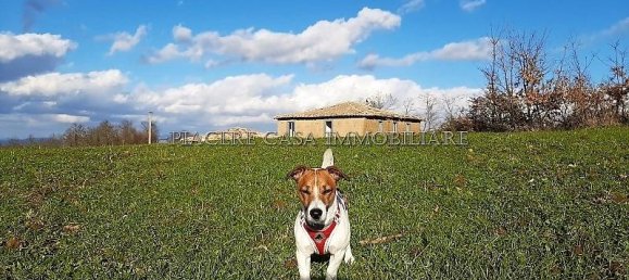 10 rooms House in Orvieto, Italy No. 159034 3