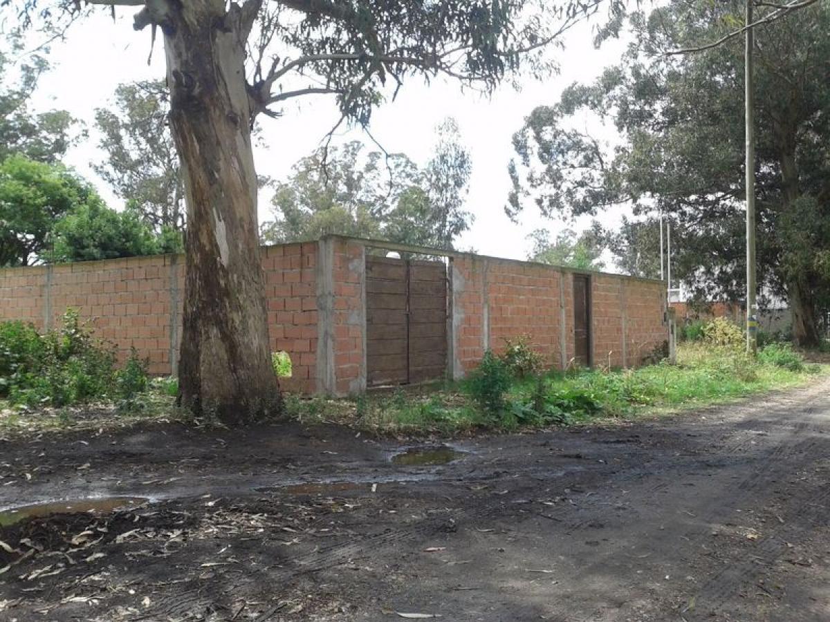  Land in Mar del Plata, Argentina No. 114316