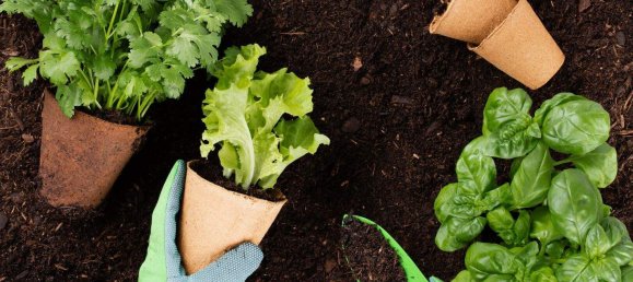 75m² Land in Salzburg, Austria No. 46880 8