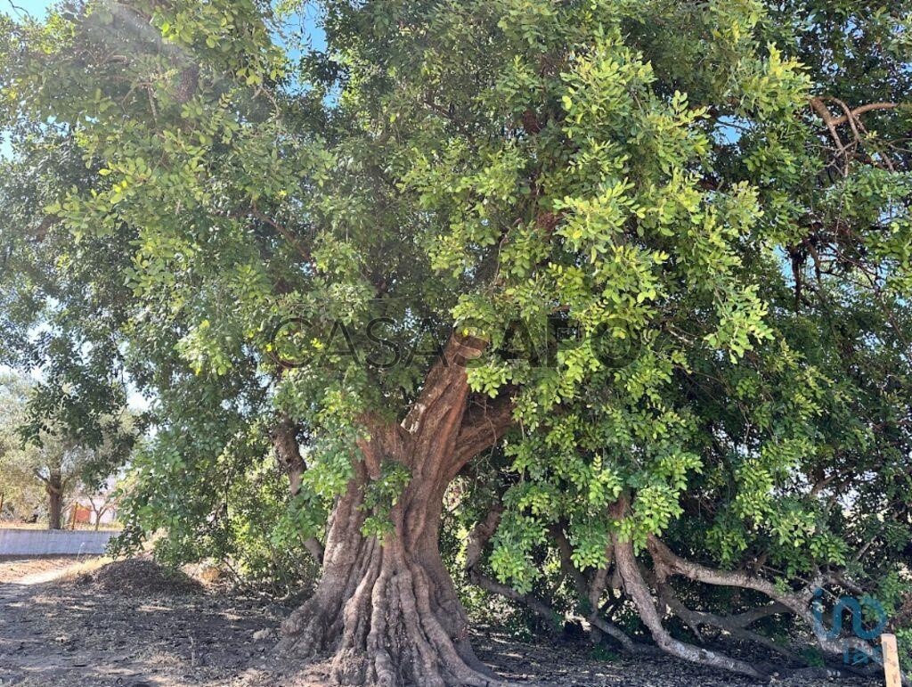 6820m² Land in Tavira, Portugal No. 303527