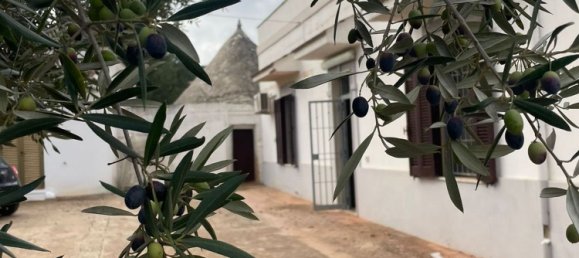 5-Zimmer Villa in Monopoli, Italy, Nr. 62916 10