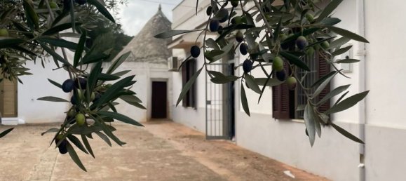 5-Zimmer Villa in Monopoli, Italy, Nr. 62916 11