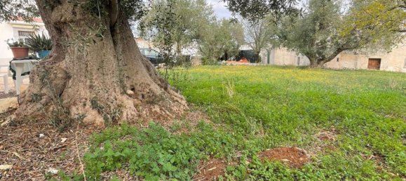 5-Zimmer Villa in Monopoli, Italy, Nr. 62916 8