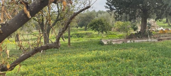 5-Zimmer Villa in Monopoli, Italy, Nr. 62916 9