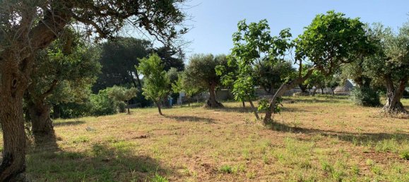 3غرفة منزل في Locorotondo, Italy رقم 22326 14