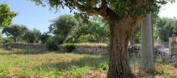 3غرفة منزل في Locorotondo, Italy رقم 22326 16