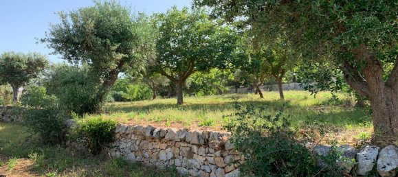 3غرفة منزل في Locorotondo, Italy رقم 22326 15